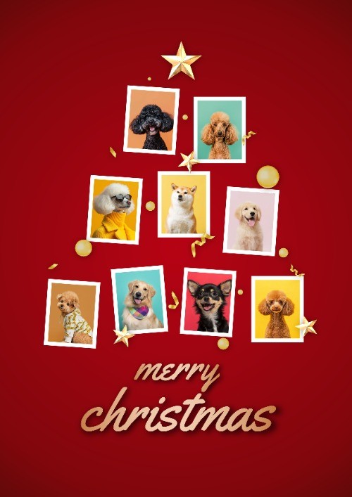 Photo Tree
